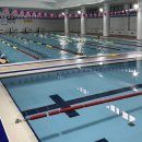 일가정양립지원본부실내수영장 이미지