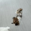 은평국제유치원 이미지