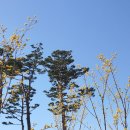 정촌가요특구 이미지