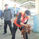 감나무집 민박 이미지