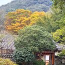 제31사단정비대대 | 가을 여행지 추천 순천 선암사 승선교 여행 코스 주차장