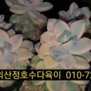 살구미농장 이미지