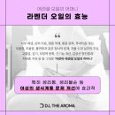 라베니에스테틱