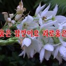 낭송의 즐거움 이미지