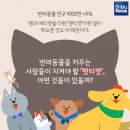 행복한산책동물병원