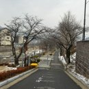 수안보온천길 이미지