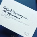 수채캘리 & 시 한줄 이미지