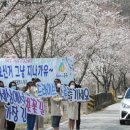 그냥 심심해서요. (4358) 벚꽃 구경도 드라이브스루 이미지