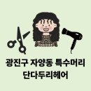 광진 뚝섬로32길 네이버블로그