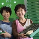 한라산쑥떡미당 - 7270 | 한라산쑥떡미당