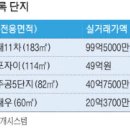 강남-183 이미지