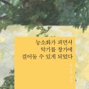 중유경로당 | 시인의 실험_안도현 &lt;능소화가 피면서 악기를 창가에 걸어둘 수 있게 되었다&gt;