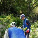 봉래2동-7 이미지