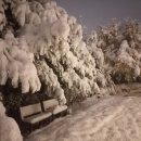 수도권의 暴雪(폭설) 내리다 이미지