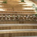 안면리조트 | 인스파이어 리조트 ‘비즈니스 디럭스 더블퀸’ 3인 숙박 후기