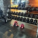 올마이티짐 이미지