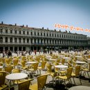 카페베니스 이미지