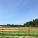 혜영목장 이미지