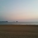 안면도바다사랑낚시 이미지