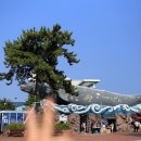 고래박물관 매표소 화장실 이미지