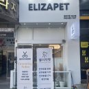 엘리자펫 이미지