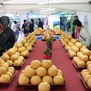 시민문화여성회관성환분관 이미지