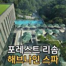 나인 | 제천 포레스트 리솜 해브나인 스파 후기｜가족 물놀이부터 인피니티풀까지 총정리