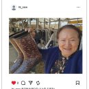 향림목장 농수축산신문