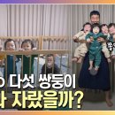 태어난 지 430일째♡ 다섯 쌍둥이 잘 지내고 있을까? 독박육아NO! 육군 대위 부부의 육아 전쟁 밀착 이미지