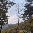 자연밸리 관광농원 이미지