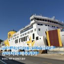 한일애견 | 한일고속페리, 골드스텔라호 타고 강아지랑 제주도 후기, 중형견 동반, 탑승 절차 및 펫룸 컨디션
