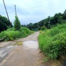 초천4리 이미지