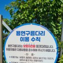 용연·용두암 | 제주도 용두암, 용연계곡 용연구름다리 방문후기
