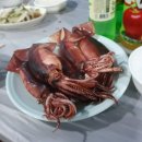 씨송송