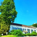 금마초등학교 이미지