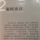 신시주