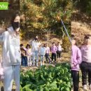 솔밭왓앤와이유치원 이미지