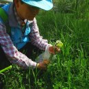 하버드유치원 이미지
