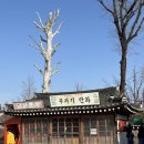 어울림 문화로 골목과 세대를 잇다 | 국립민속박물관 “7080 추억의 거리” 다녀온 후기 — 무료로 떠나는 시간 여행