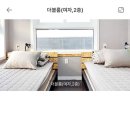 도쿄노래연습장 | 2025 첫번째 여행지 [대구] - 1박2일 뚜벅이 여행 코스 추천&lt;덕일생고기,삼미갈비찜,걸리버막창,군위...