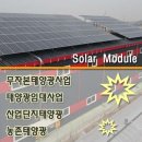 성산 태양광발전소 이미지