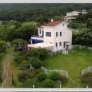 구리동물보호센터 이미지