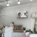 집에서도 간단히 반려견 미용 이미지