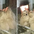 옹기종기 이미지