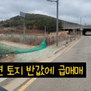 랜드마켓공인중개사사무소 이미지