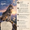 GPT 대화 이력으로 추측한 당신의 전생은? 이미지