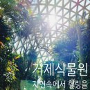 거제시농업개발원 | 부산근교 거제도 아이랑 가볼만한 곳 [거제식물원] 힐링장소