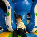앨리스의문 | [부산/진구]부산키즈카페-앨리스파파 내돈내산후기
