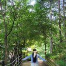 목포실내체육관 테니스장 이미지