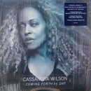 카산드라 윌슨 Cassandra Wilson Jazz Singer 재즈보컬리스트 재즈음반 재즈판 바이닐 엘피음반 엘피판 lpeshop 이미지